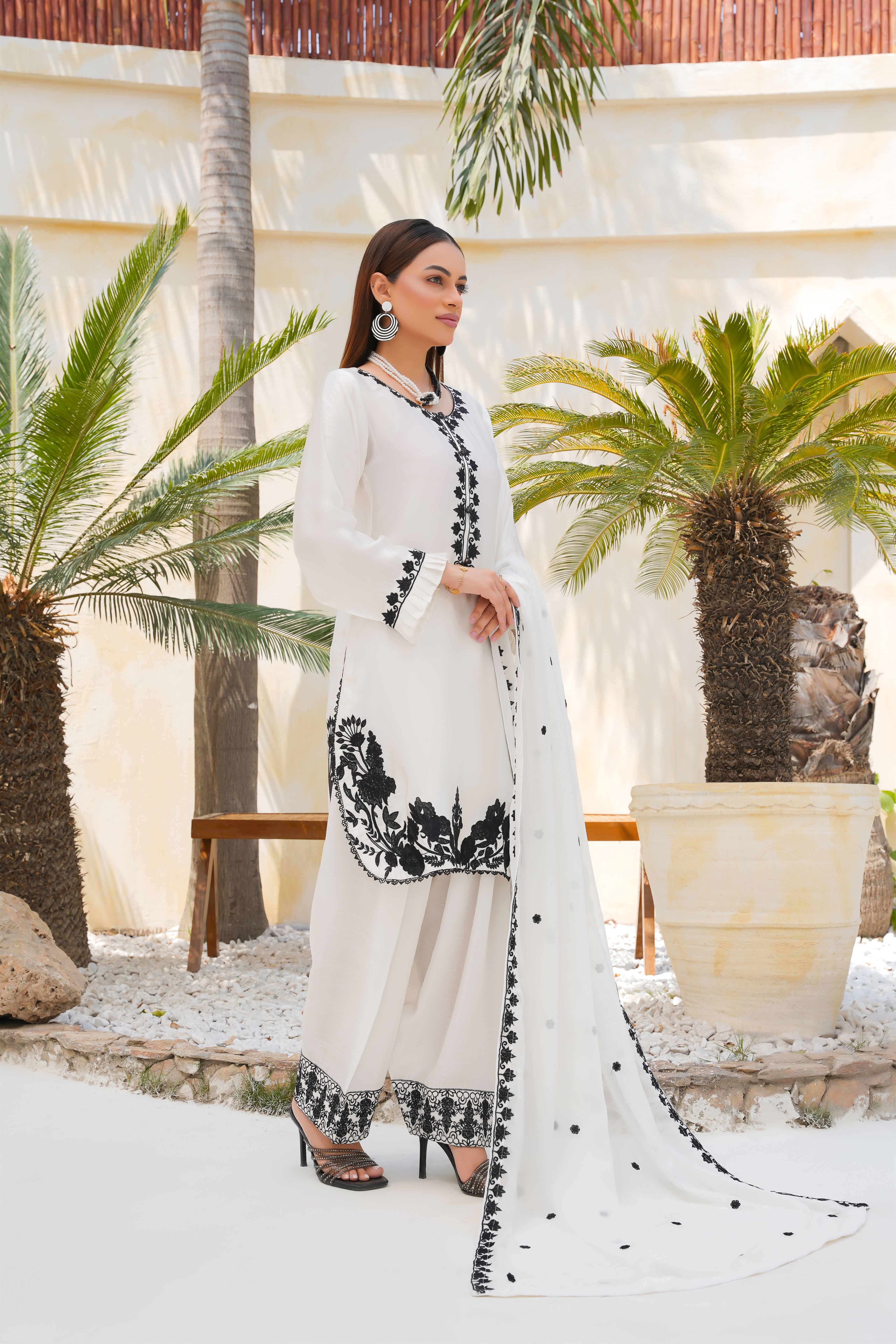 Saahil-e-Noor