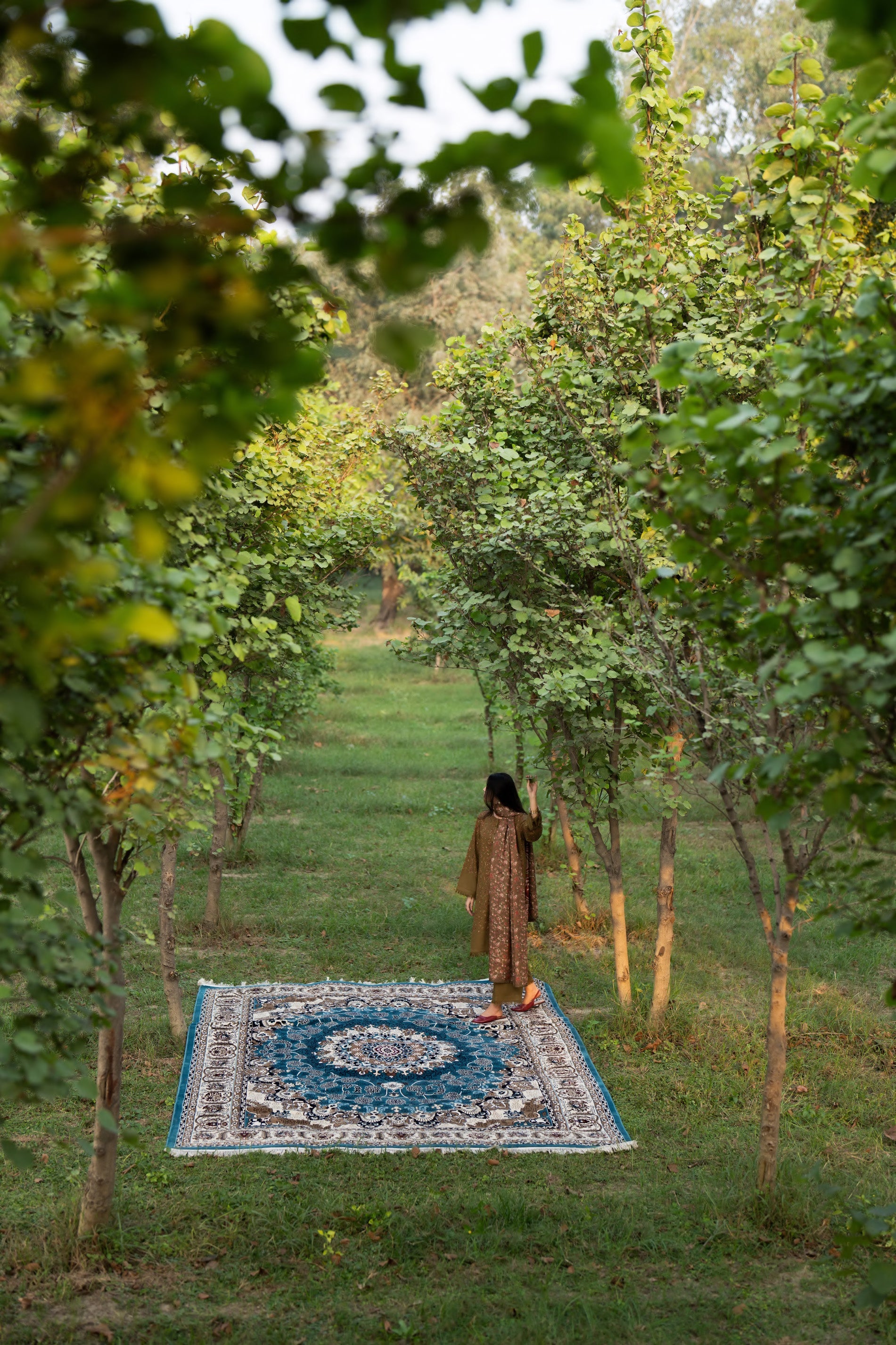 Casual Lite - Walnut