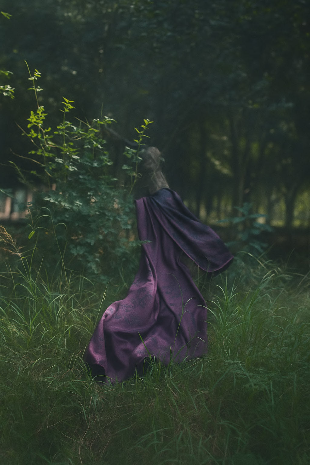 Casual Lite - Plum Symphony