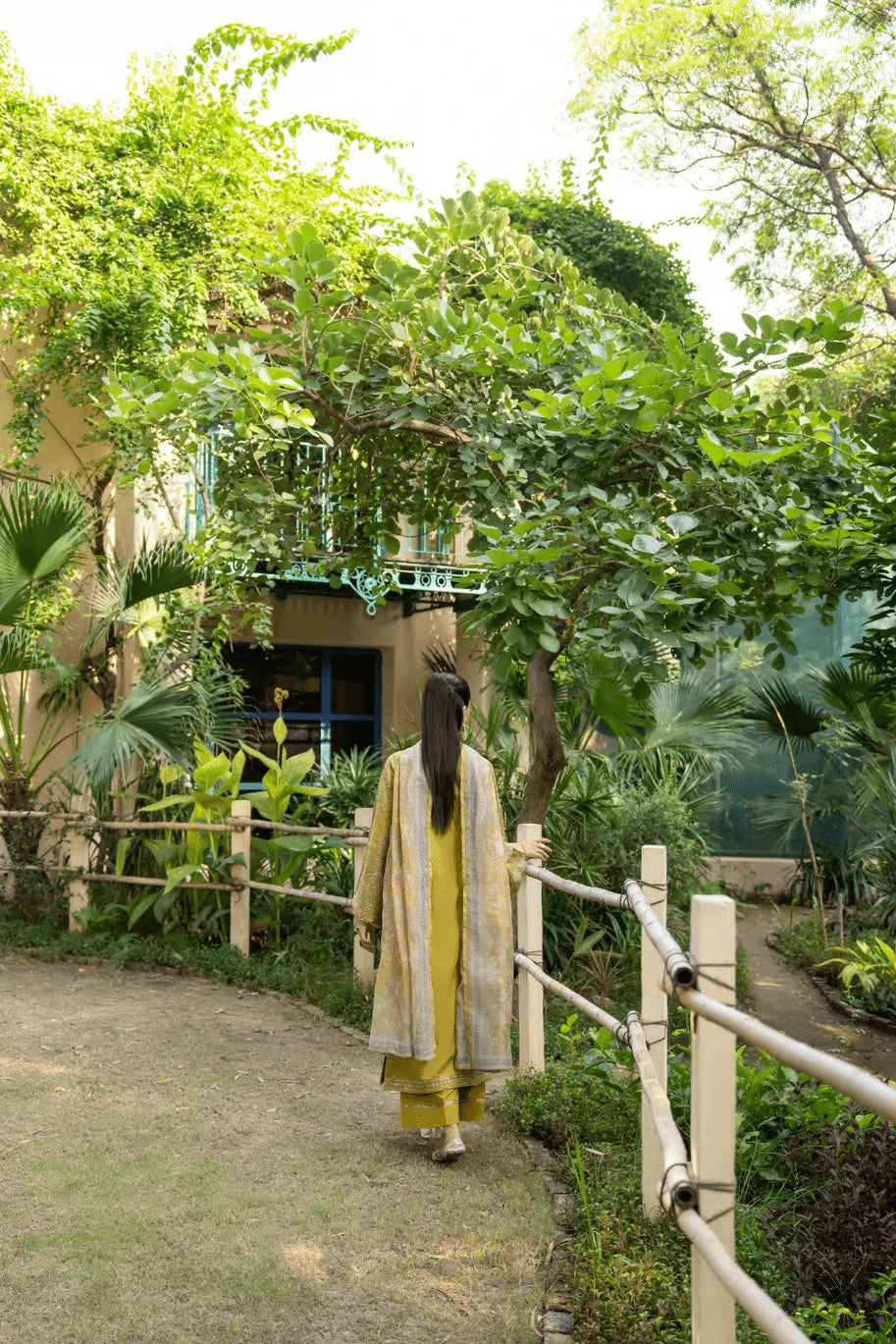 Casual Lite - Olive Mustard Hue