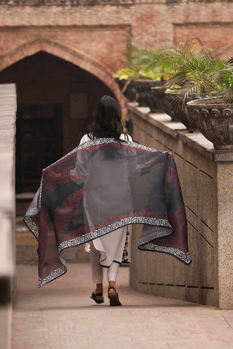 Casual Lite - Perchai