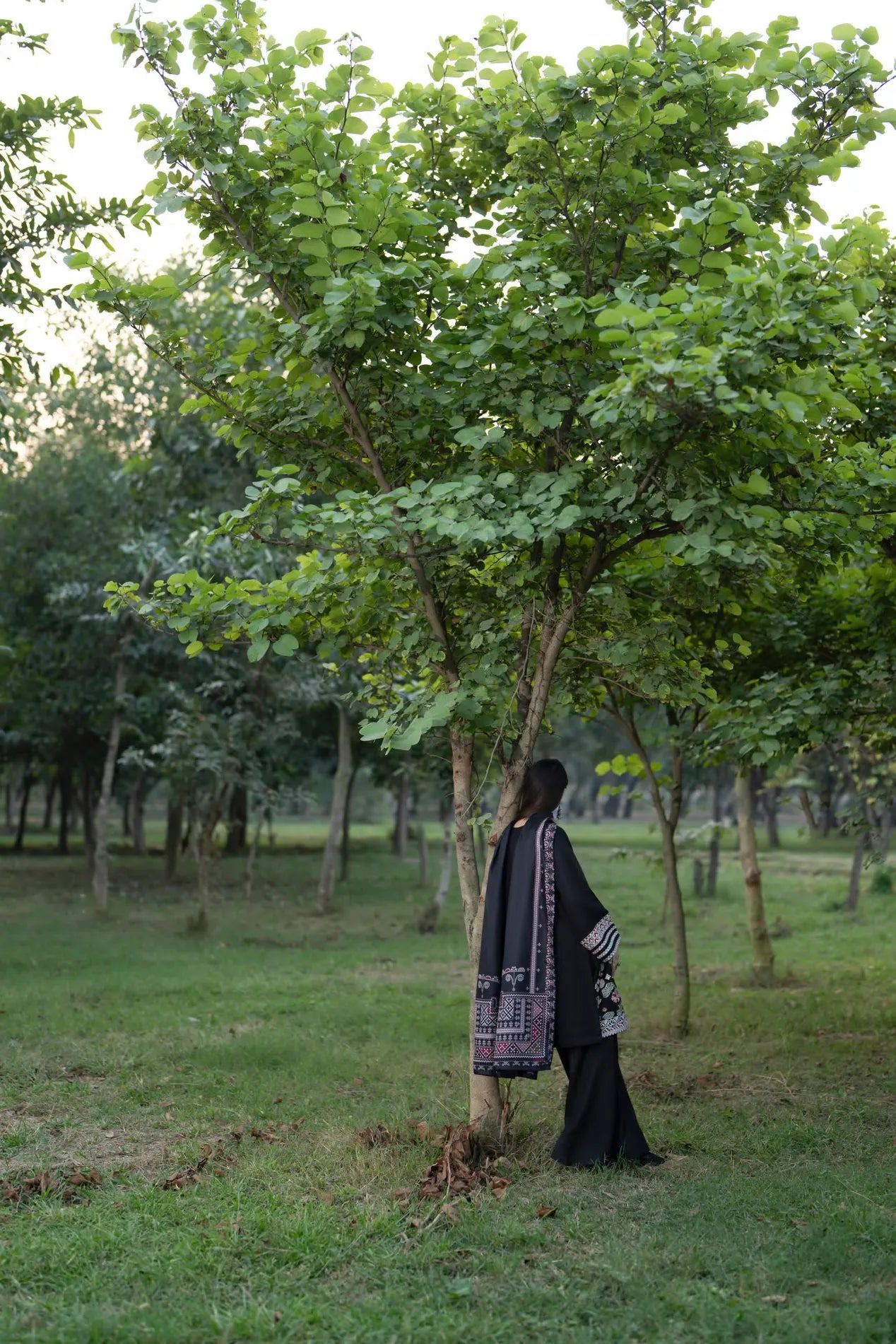 Casual Lite - Lotus Nocturne