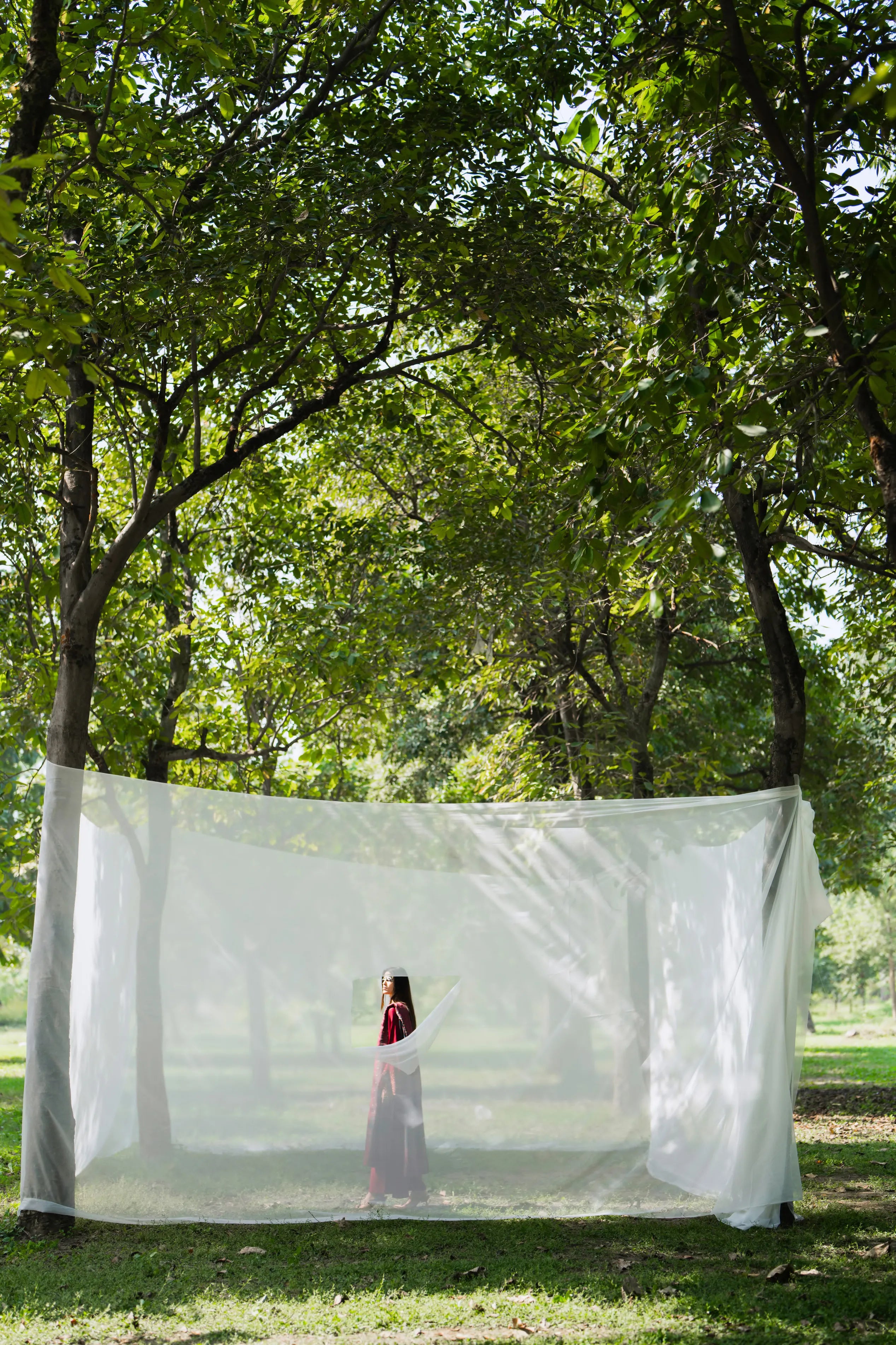 Casual Lite - Verdigris Aria