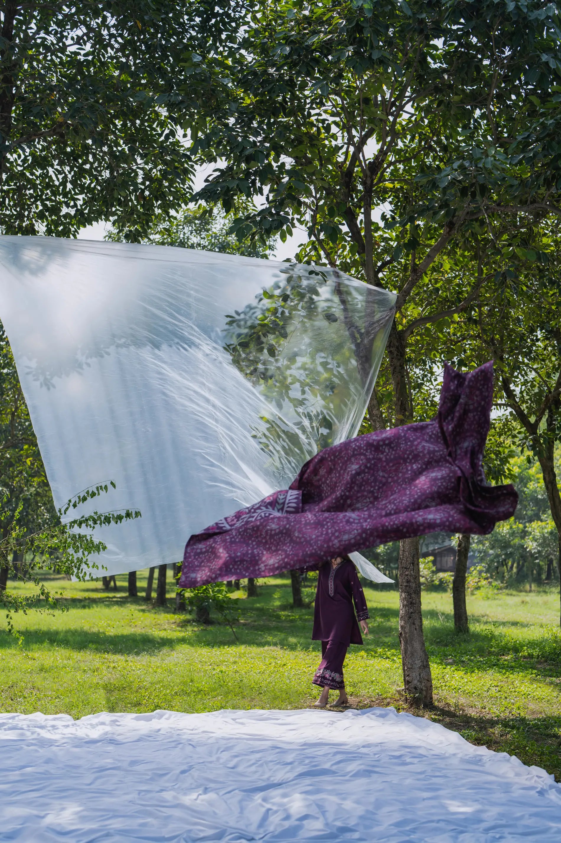 Casual Lite - Mulberry Nocturne